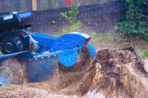 tree stump removal Adelaide